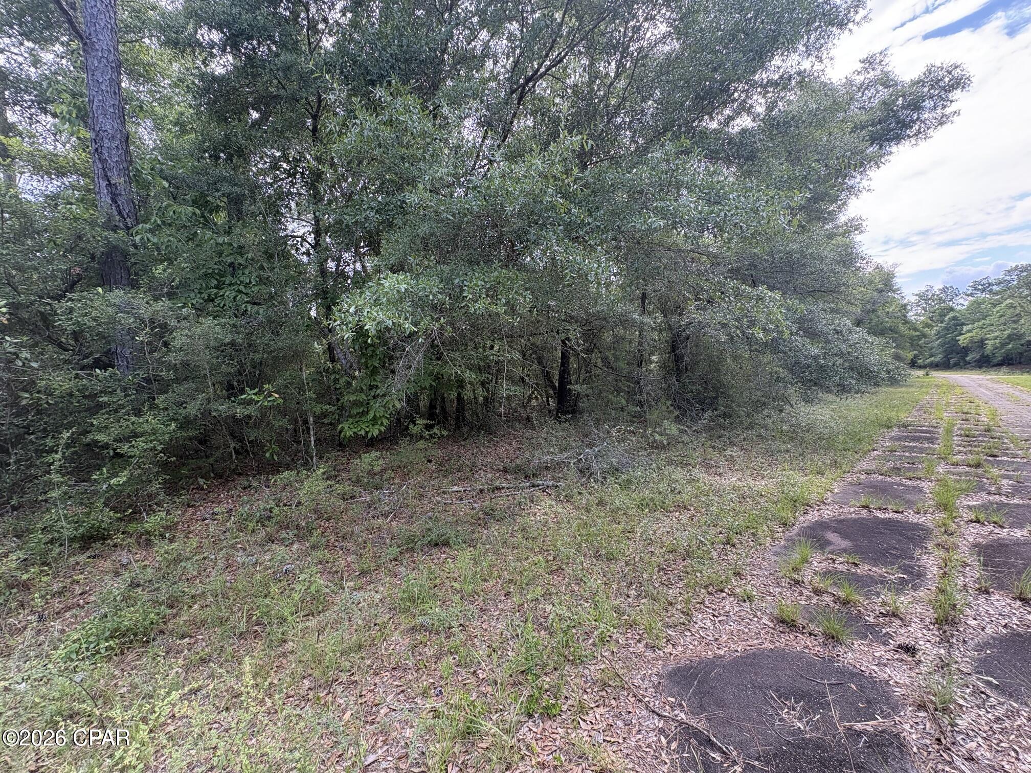 Land in Chipley 2