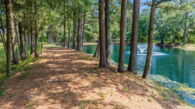 555 Us Business Highway 82, House other with 4 bedrooms, 2 bathrooms and null parking in Avery TX | Image 25