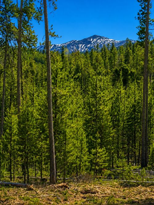 Lot 8 TBD Mitchell Lane, Anaconda, MT, 59711 | Card Image