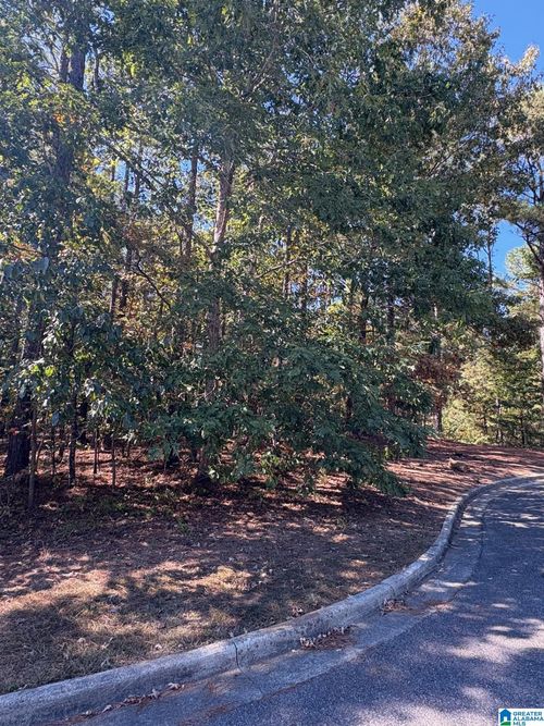 27-339 Alta Vista Dr, CHELSEA, AL, 35043-6236 | Card Image