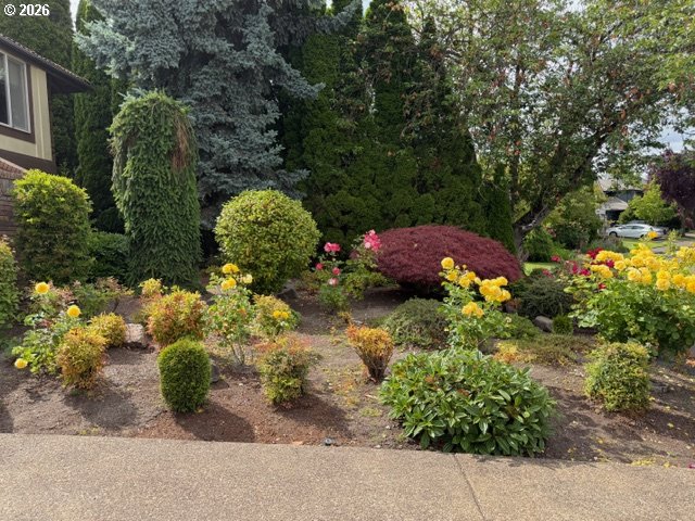 Residential in Eugene 3