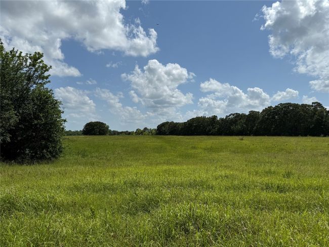 View of local wilderness featuring rural landscape | Image 14