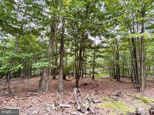522 Clinton Dr, BAKER, WV, 26801 | Card Image