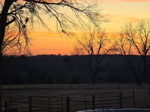 20086 County Road 299, Arp, TX, 75750-9509 | Card Image