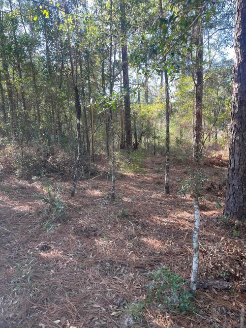 X Blue Ridge Blvd, DeFuniak Springs, FL, 32433 | Card Image