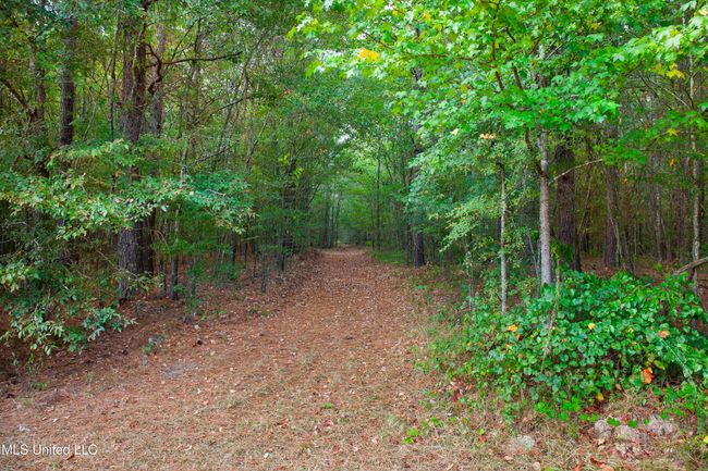 cabins2023-82 | Image 20