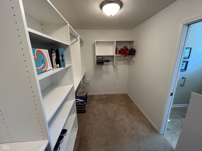 spacious closet featuring carpet | Image 19