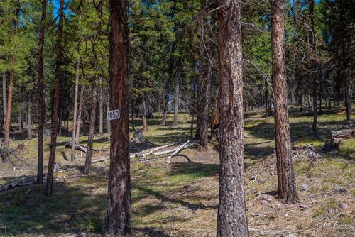 1050 Grandview Dr, Seeley Lake, MT, 59868 | Card Image