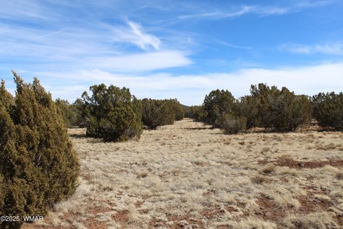 Lot 092C County Rd, Concho, AZ, 85924 | Card Image