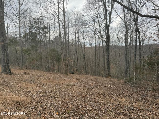 649 Garrett Town Ln, Home with 0 bedrooms, 0 bathrooms and null parking in Monroe TN | Image 15