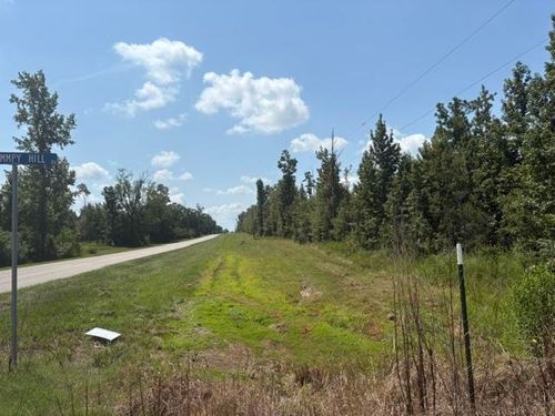 xx Ne County Road 275, Altha, FL, 32421 | Card Image