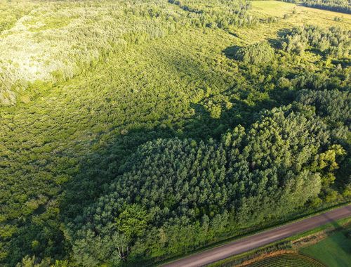 00 Oak Dr, Curtiss, WI, 54422 | Card Image