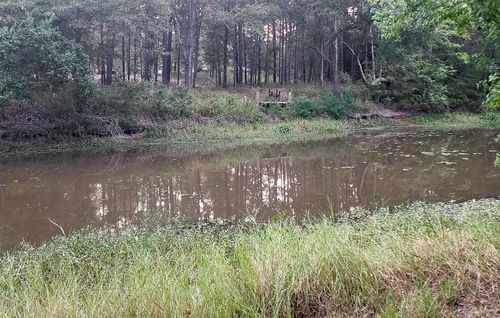 200 Laurel, Onalaska, TX, 77360-7370 | Card Image