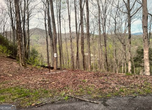 LOT 3 Buckhead Hills, Hiawassee, GA, 30546 | Card Image