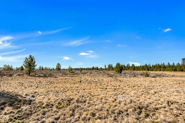 OReilly_20240402_2_295856_72ppi | Image 7