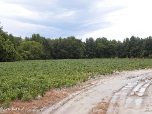Tbd Conetoe Rd, Greenville, NC, 27834 | Card Image