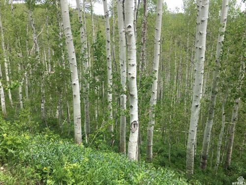 g-54-2183 Aspen Cir, Wanship, UT, 84017-6404 | Card Image