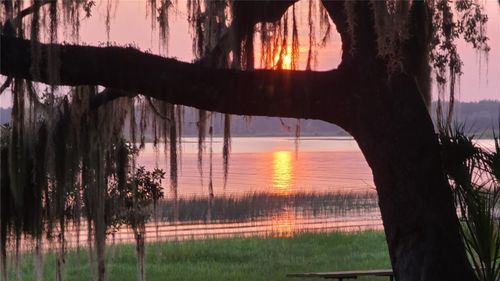 25205 Ne 142nd St, Salt Springs, FL, 32134 | Card Image