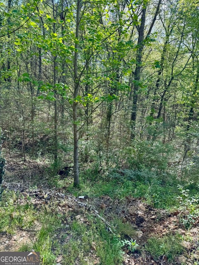 1037 County Road 43, Home with 0 bedrooms, 0 bathrooms and null parking in HEFLIN AL | Image 21
