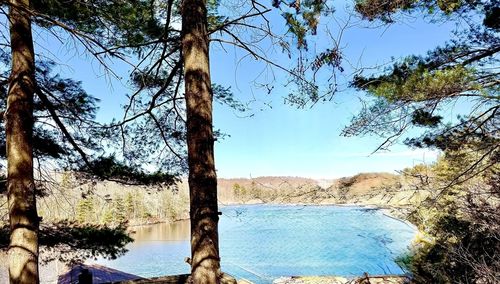 20 Bertine St, Bellingham, MA, 02019-1815 | Card Image