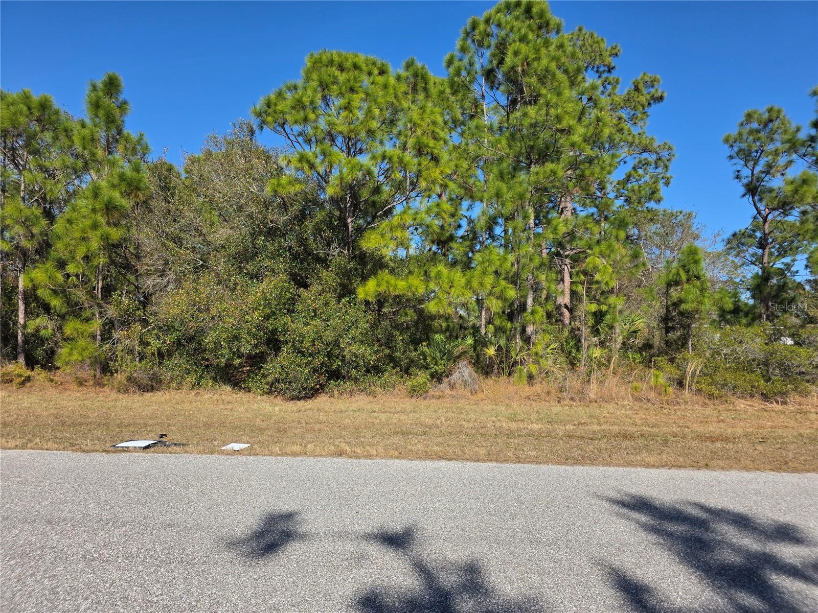 Land in NORTH PORT
