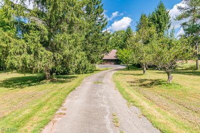 Drive up to home with lovely mature trees | Image 2