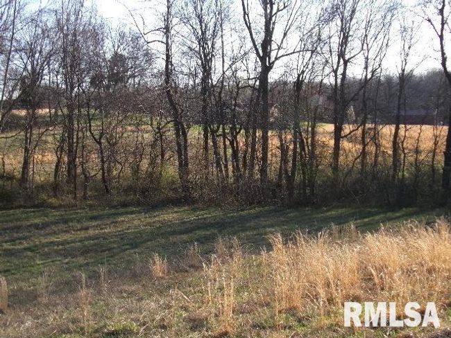 2225 Route 34, House other with 4 bedrooms, 2 bathrooms and null parking in Rosiclare IL | Image 53