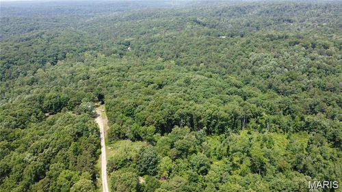 10282 Annette Avenue, Potosi, MO, 63664 | Card Image