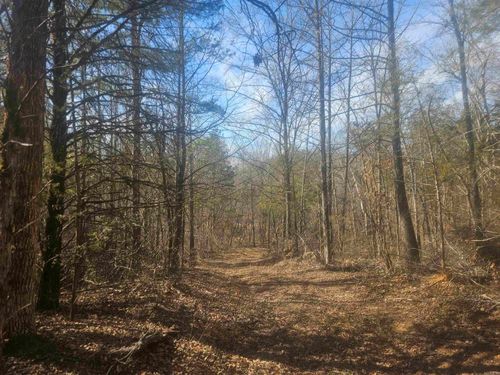 000 Fawn Road, Big Flat, AR, 72617 | Card Image