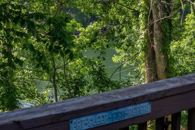 440 Fall Creek Drive #7 (44) | Image 48