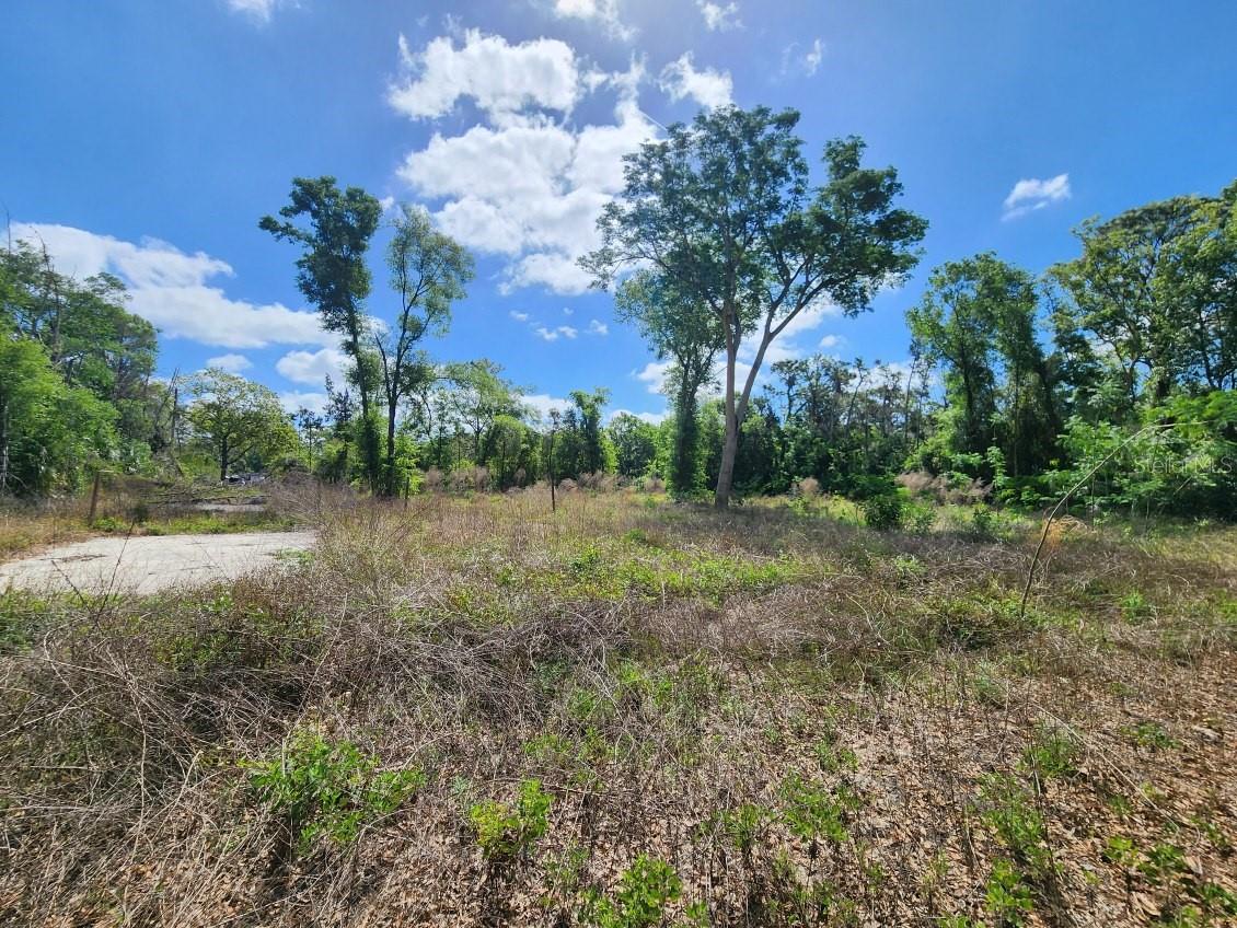 Land in LONGWOOD 3