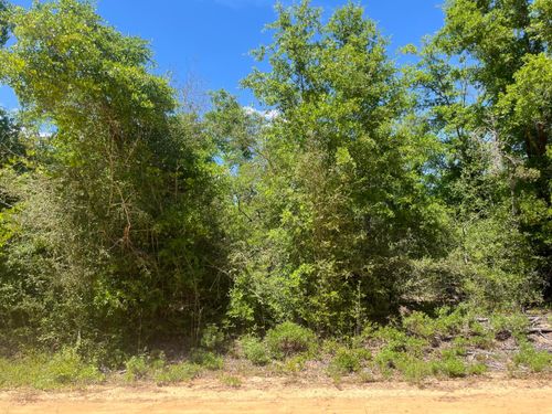 0 Hocking St, ALFORD, FL, 32420 | Card Image