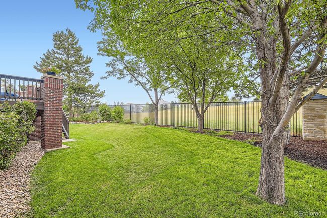 Backyard! | Image 42