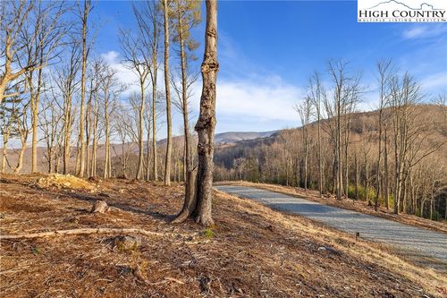 16 Firethorne Lane, Elk Park, NC, 28622 | Card Image