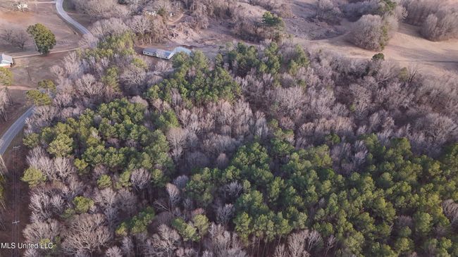 DJI_20250128163422_0352_D | Image 21