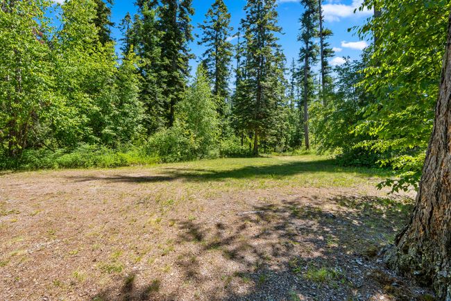 View of level area with surrounding forested area | Image 29