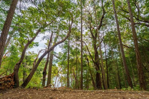 19 Ruxton Island, Ruxton Island, BC, 000000 | Card Image