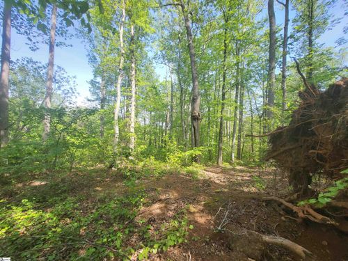 121 Laurel Valley Way, Travelers Rest, SC, 29690-8196 | Card Image