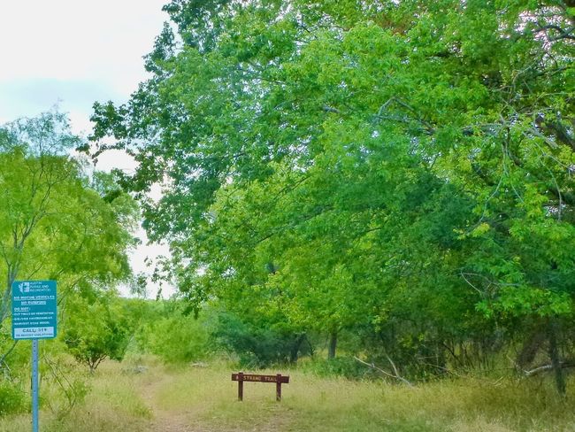 Many trails all through the greenbelt | Image 35