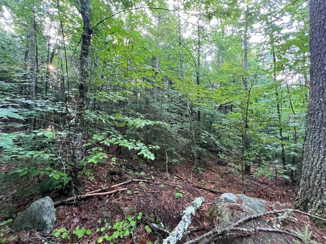 Map 6, Lot 38 Chadwick Hill Road, Home with 0 bedrooms, 0 bathrooms and null parking in Webster NH | Image 5