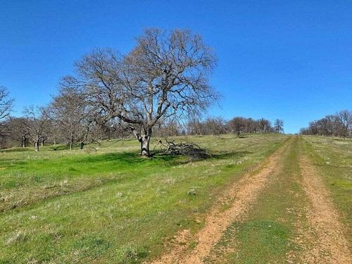 21 Lawndale Drive, Cottonwood, CA, 96022 | Card Image