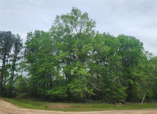 TBD Cloverdale, Livingston, TX, 77351 | Card Image