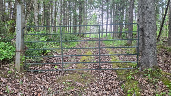 648 O'connor Line, Home with 0 bedrooms, 0 bathrooms and null parking in Powassan ON | Image 9