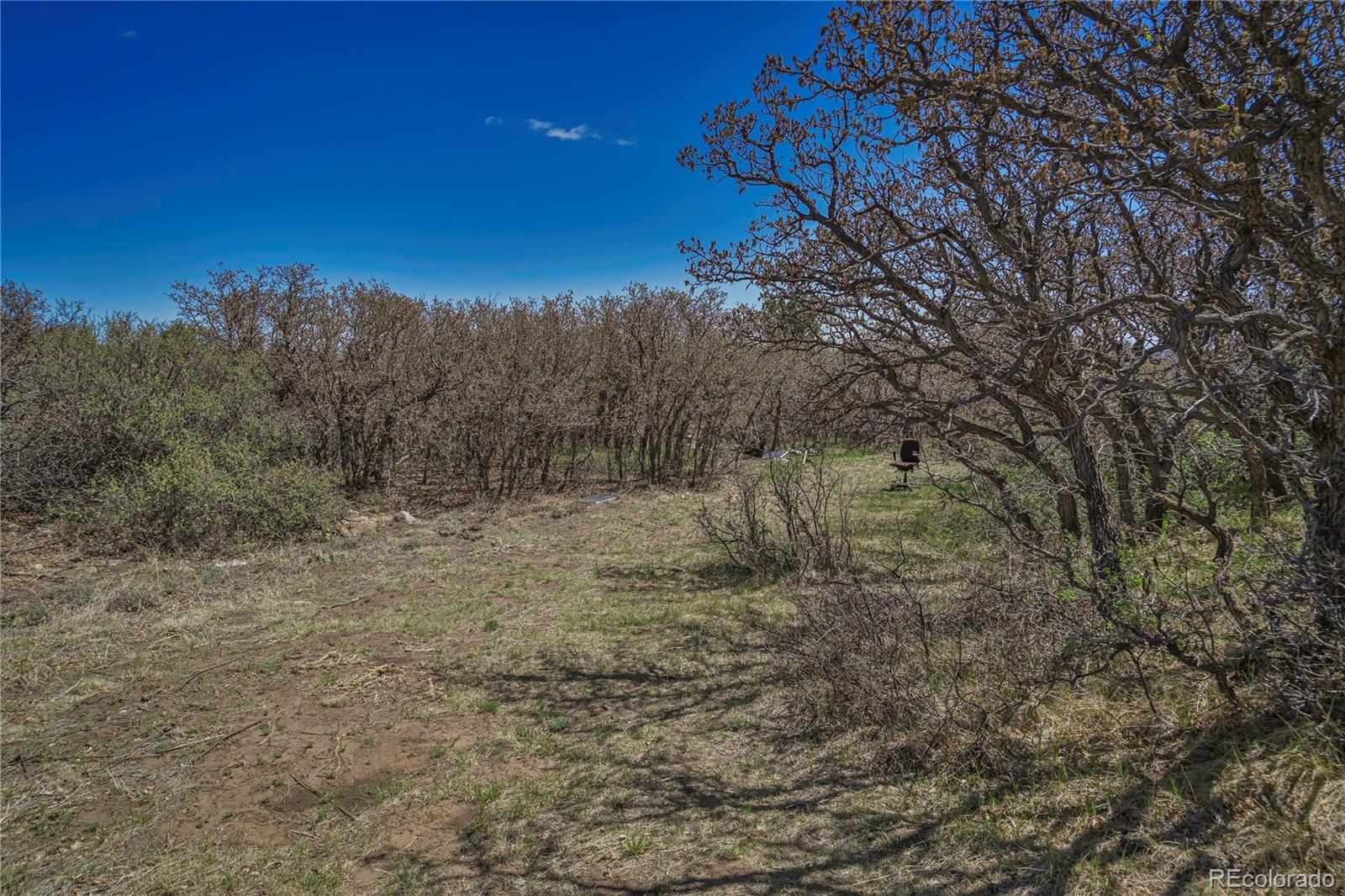 Land in Walsenburg 4