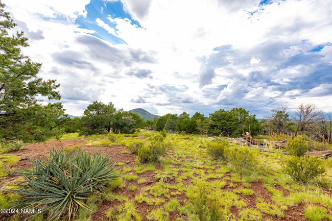 2667 E Overlook Dr, House other with 3 bedrooms, 3 bathrooms and null parking in Williams AZ | Image 61