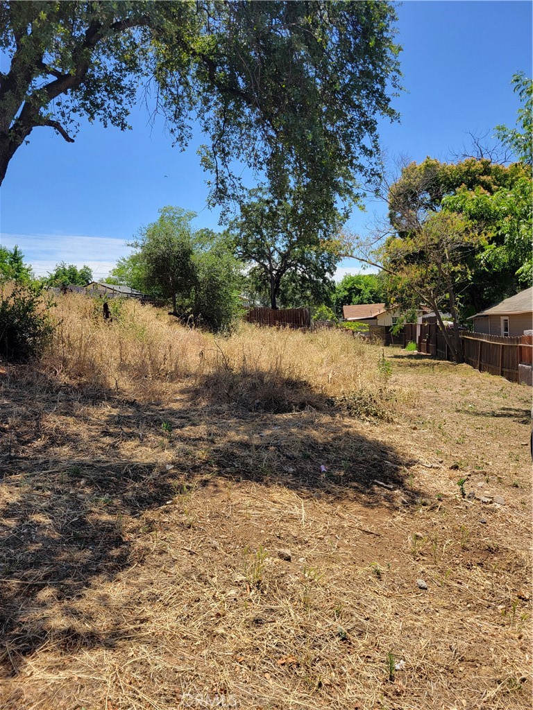 Land in Oroville 2