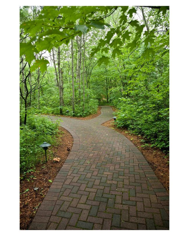 Take the many walking paths and search for wild berries | Image 113
