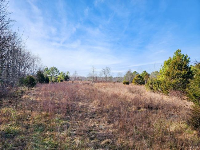 0 Pinecrest Dr, Home with 0 bedrooms, 0 bathrooms and null parking in MADISON HEIGHTS VA | Image 6