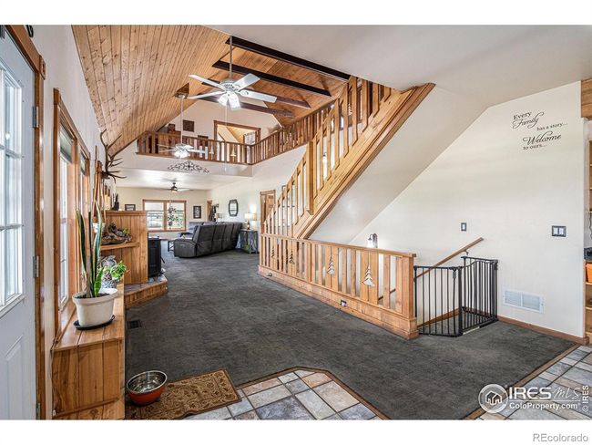 Entry | Image 4