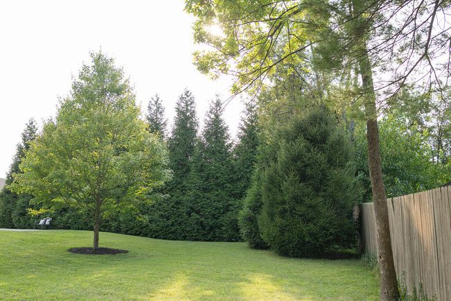 110 Camelot Dr, House other with 4 bedrooms, 4 bathrooms and null parking in Winchester KY | Image 98